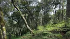 Foto 11 de Fazenda/Sítio à venda, 30000m² em , Urubici