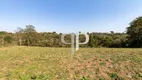 Foto 23 de Lote/Terreno à venda, 5000m² em São Sebastiao, São José dos Pinhais