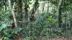 Foto 31 de Fazenda/Sítio com 2 Quartos à venda, 150000m² em Patrimonio, Paraty