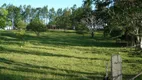 Foto 28 de Fazenda/Sítio com 3 Quartos à venda, 160000m² em Maracana, Glorinha