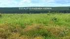 Foto 11 de Fazenda/Sítio com 17 Quartos à venda, 94750000m² em Centro, Água Clara