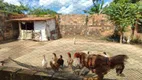 Foto 33 de Fazenda/Sítio com 2 Quartos à venda, 225m² em Zona Rural, Iranduba