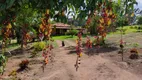 Foto 18 de Fazenda/Sítio com 4 Quartos à venda, 20000m² em Antonio Dos Santos, Caeté