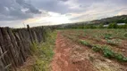 Foto 28 de Fazenda/Sítio com 3 Quartos à venda, 700m² em Reforma Agraria, Valinhos