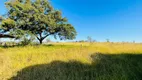 Foto 3 de Fazenda/Sítio com 3 Quartos à venda, 2323200m² em Centro, Claro dos Poções