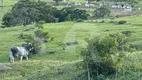 Foto 11 de Fazenda/Sítio com 2 Quartos à venda em Zona Rural, Ipameri
