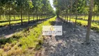 Foto 3 de Fazenda/Sítio com 10 Quartos à venda, 200m² em Centro, Paraíso do Tocantins