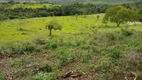 Foto 7 de Fazenda/Sítio com 2 Quartos à venda, 484000m² em Zona Rural, Santo Antônio da Alegria