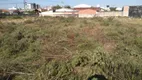 Foto 11 de Lote/Terreno para alugar, 3000m² em Parque da Fonte, São José dos Pinhais