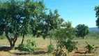 Foto 6 de Fazenda/Sítio com 3 Quartos à venda, 3900m² em Centro, Caetanópolis