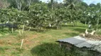Foto 12 de Fazenda/Sítio com 4 Quartos à venda, 250m² em Area Rural de Manaus, Manaus