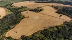 Foto 18 de Fazenda/Sítio com 2 Quartos à venda, 76m² em Centro, Auriflama