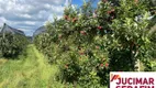 Foto 31 de Fazenda/Sítio com 10 Quartos à venda, 1300000m² em Perico, São Joaquim