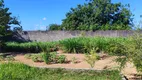 Foto 26 de Fazenda/Sítio com 4 Quartos à venda, 130m² em Zona Rural, São José de Mipibu