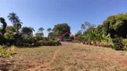 Foto 32 de Fazenda/Sítio com 8 Quartos à venda, 20000m² em Vila Guedes, Jaguariúna