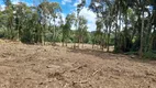 Foto 10 de Fazenda/Sítio à venda, 196000m² em Centro, Campo do Tenente