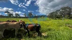 Foto 18 de Fazenda/Sítio com 3 Quartos à venda, 300m² em Zona Rural, São Sebastião do Oeste