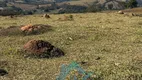 Foto 12 de Fazenda/Sítio com 3 Quartos à venda, 300m² em Zona Rural, Itaguara