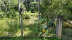 Foto 28 de Fazenda/Sítio com 2 Quartos à venda, 85m² em Parque São Jorge, Piracicaba