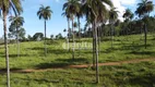 Foto 9 de Fazenda/Sítio à venda, 74844m² em Area Rural de Uberlandia, Uberlândia