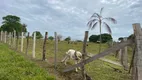 Foto 17 de Fazenda/Sítio à venda, 200000m² em Liberdade, Manacapuru