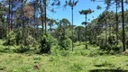 Foto 5 de Lote/Terreno à venda, 30000m² em São Miguel, Campo Alegre