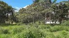 Foto 5 de Fazenda/Sítio com 3 Quartos à venda, 200m² em Zona Rural, Bela Vista de Goiás