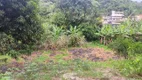 Foto 4 de Lote/Terreno à venda, 10000m² em Saco, Magé