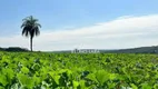 Foto 12 de Fazenda/Sítio com 6 Quartos à venda, 1200m² em RANCHO TRÊS LAGOAS, Igarapé