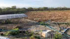 Foto 12 de Fazenda/Sítio com 7 Quartos à venda, 400m² em  Zona Rural, Teresina