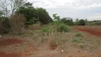 Foto 17 de Lote/Terreno para alugar, 24200m² em Vila Nova, Piracicaba