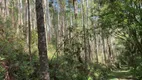 Foto 28 de Fazenda/Sítio à venda, 448000m² em Pedra Branca, Alfredo Wagner