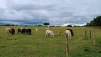 Foto 18 de Fazenda/Sítio com 3 Quartos à venda, 96000m² em Zona Rural, Bela Vista de Goiás