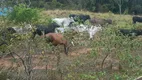 Foto 44 de Fazenda/Sítio com 3 Quartos à venda, 250m² em Mombaça, Saquarema