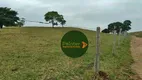 Foto 22 de Fazenda/Sítio à venda, 20812000m² em Zona Rural, Rubiataba