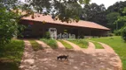 Foto 9 de Fazenda/Sítio com 4 Quartos à venda, 360m² em Area Rural de Uberlandia, Uberlândia