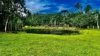 Foto 3 de Fazenda/Sítio com 3 Quartos à venda, 3000m² em América de Cima, Morretes