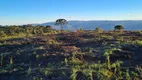 Foto 21 de Fazenda/Sítio à venda, 30000m² em Santa Tereza, Urubici