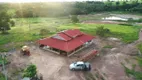 Foto 14 de Fazenda/Sítio com 4 Quartos à venda, 242000000m² em Setor Central, Alto Horizonte