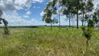 Foto 15 de Fazenda/Sítio com 1 Quarto à venda, 1800m² em Jardim Planalto, Anápolis