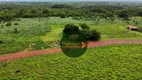 Foto 7 de Fazenda/Sítio com 2 Quartos à venda, 7970000m² em , Novo Planalto