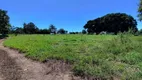 Foto 20 de Fazenda/Sítio com 3 Quartos à venda, 100m² em Zona Rural, Caldazinha