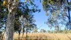 Foto 20 de Fazenda/Sítio com 2 Quartos à venda, 158m² em Zona Rural, Colinas do Sul