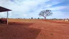 Foto 19 de Fazenda/Sítio com 4 Quartos à venda, 5000m² em Tabajaras, Uberlândia