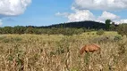 Foto 39 de Fazenda/Sítio com 2 Quartos à venda, 470000m² em Corrego Rico, Planaltina