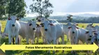 Foto 3 de Fazenda/Sítio à venda, 500m² em Area Rural de Belem, Belém