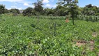 Foto 21 de Fazenda/Sítio com 3 Quartos à venda, 4500m² em Area Rural do Paranoa, Brasília