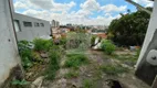 Foto 9 de Lote/Terreno à venda, 280m² em Jardim Bonfiglioli, São Paulo