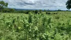 Foto 30 de Fazenda/Sítio com 5 Quartos à venda, 330m² em Zona Rural, Alvorada do Norte