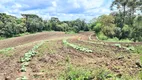 Foto 30 de Fazenda/Sítio com 2 Quartos à venda, 450000m² em Centro, Rio Rufino